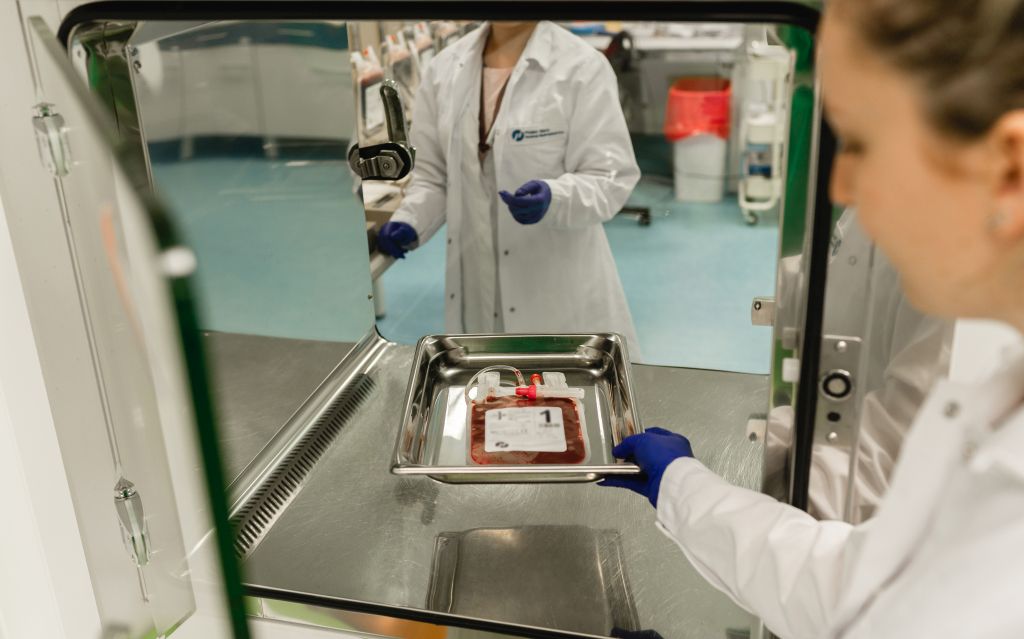 Krew pępowinowa przekazywanie