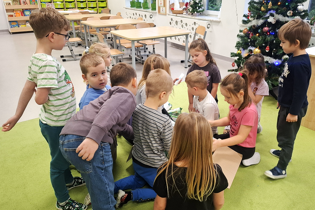 Grupa dzieci w sali przedszkolnej pochylona nad tekturowym pudełkiem. Na drugim planie ławki s krzesełkami, z prawej strony choinka z bombkami.