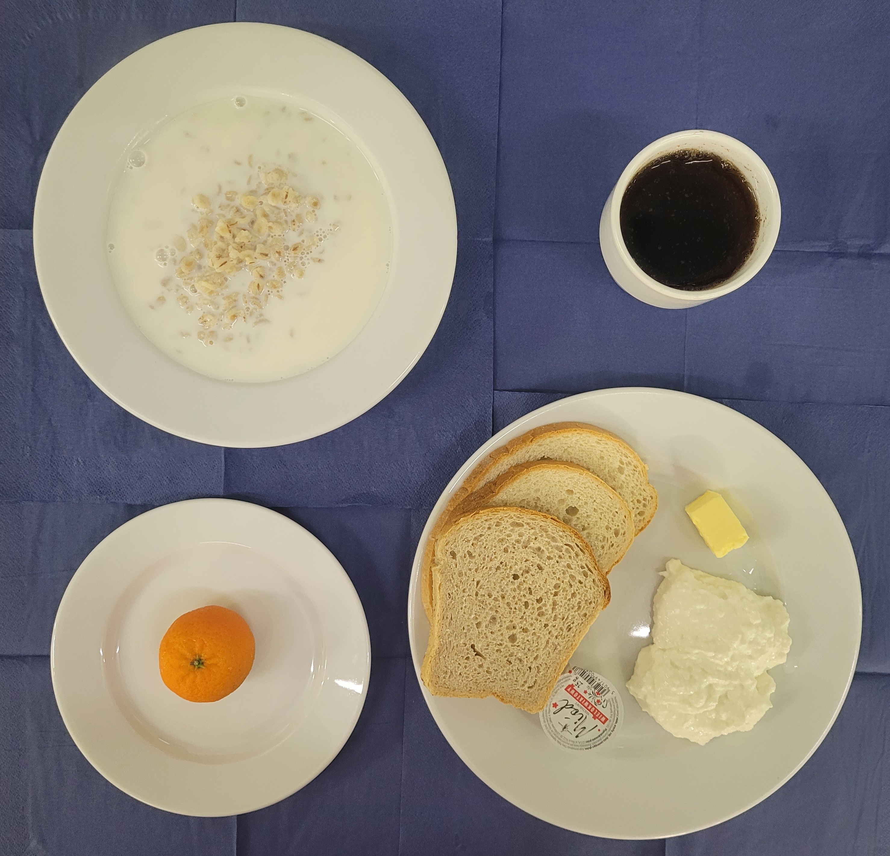 na talerzach płatki jęczmienne na mleku, chleb pszenny, chleb sitkowy, masło, ser biały, miód, mandarynka, w kubku herbata z cytryną